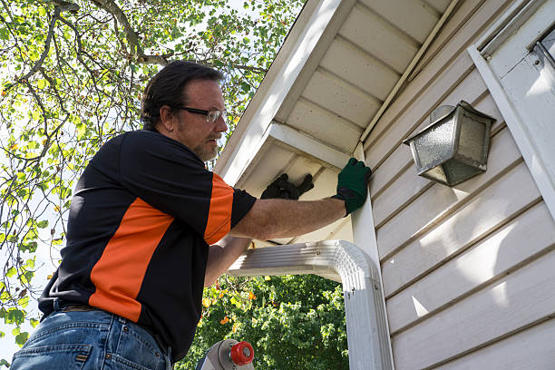 Best Brick Veneer Siding  in Jeffersonville, IN